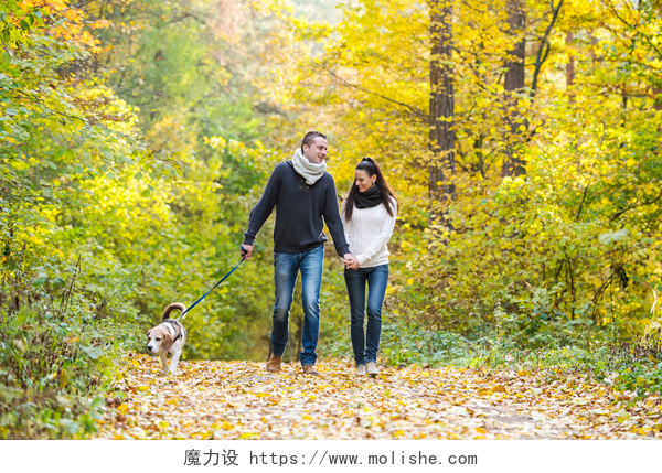 牵着狗散步的美丽年轻夫妇夫妇与狗在秋天的树林